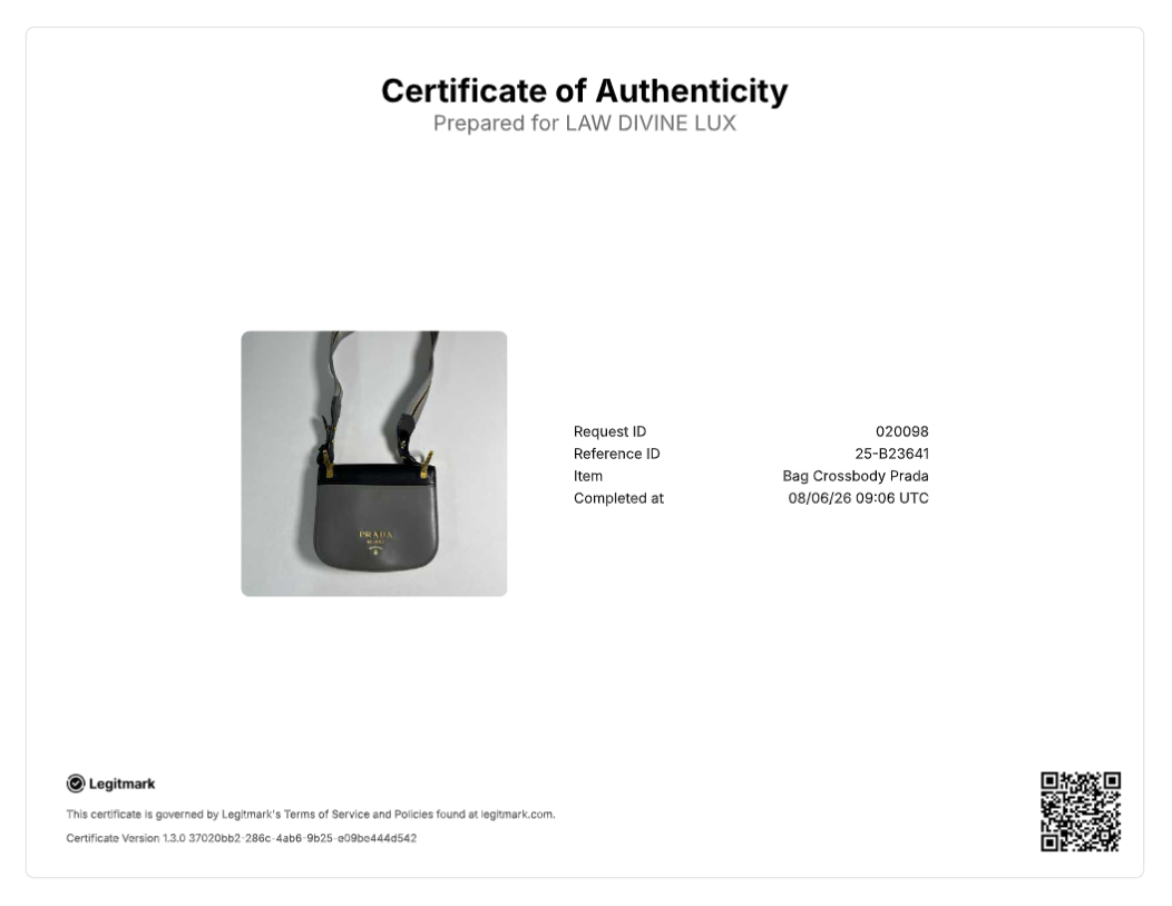 Prada City Calf Pionniere Shoulder Bag B23641