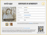 Totally Handbag Damier MM