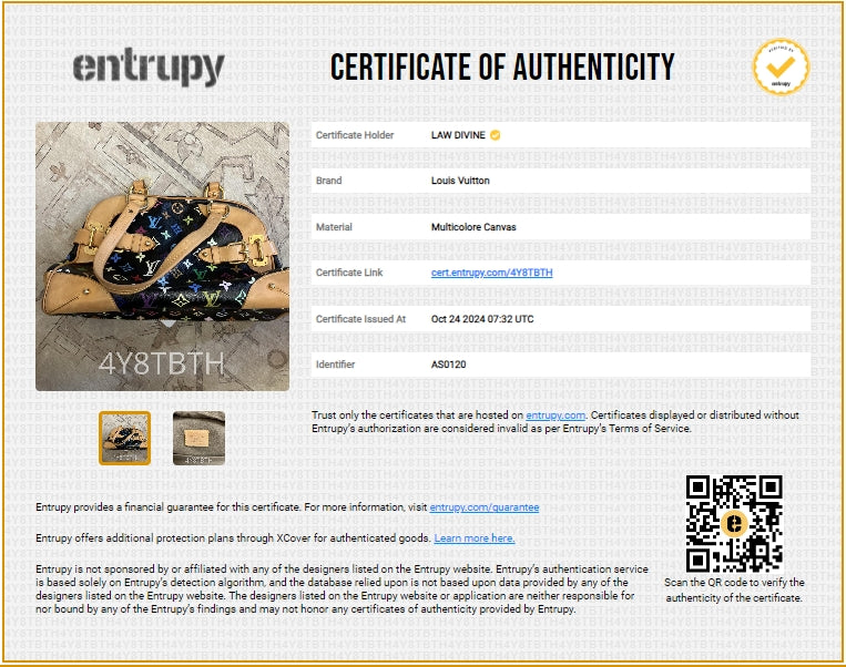 Claudia Handbag Monogram Multicolor