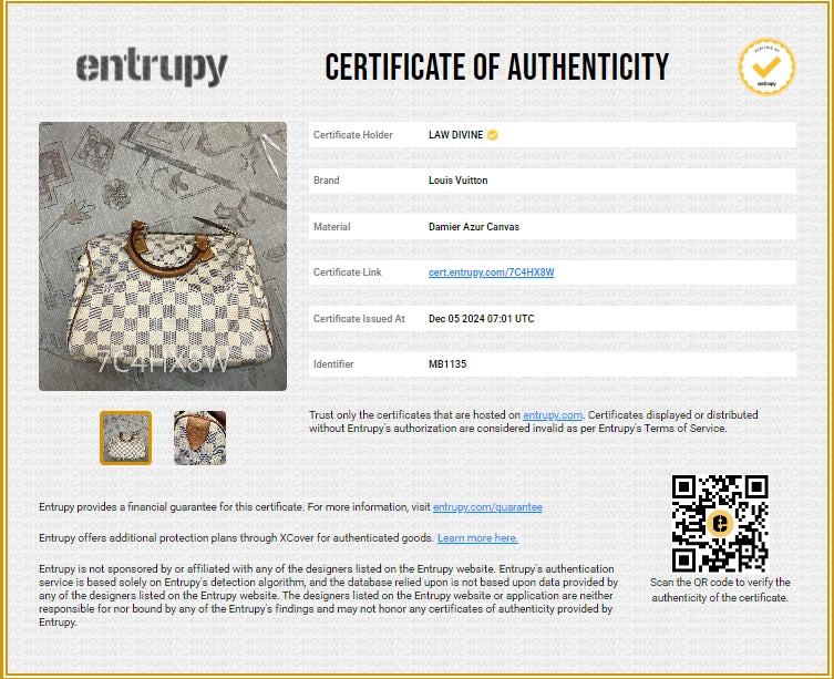 Speedy Handbag Damier 25