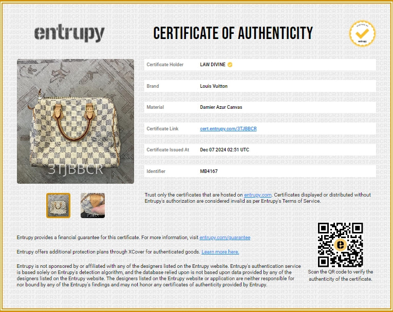 Speedy Handbag Damier 25