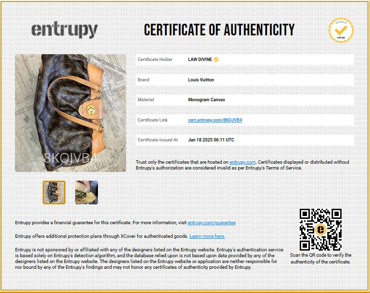 Boetie Handbag Monogram Canvas MM