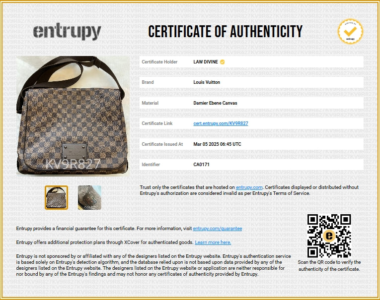 Brooklyn Handbag Damier MM