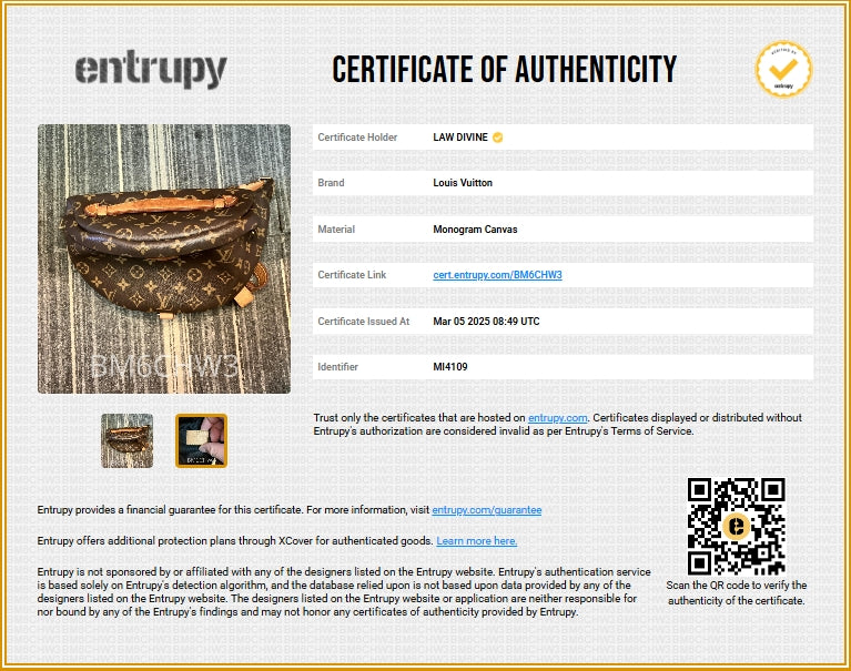 Louis Vuitton Classic waist bag series Monogram Canvas Twins