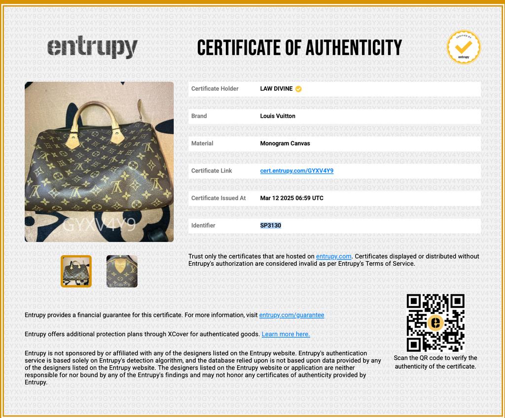 Speedy Handbag Monogram Canvas 35