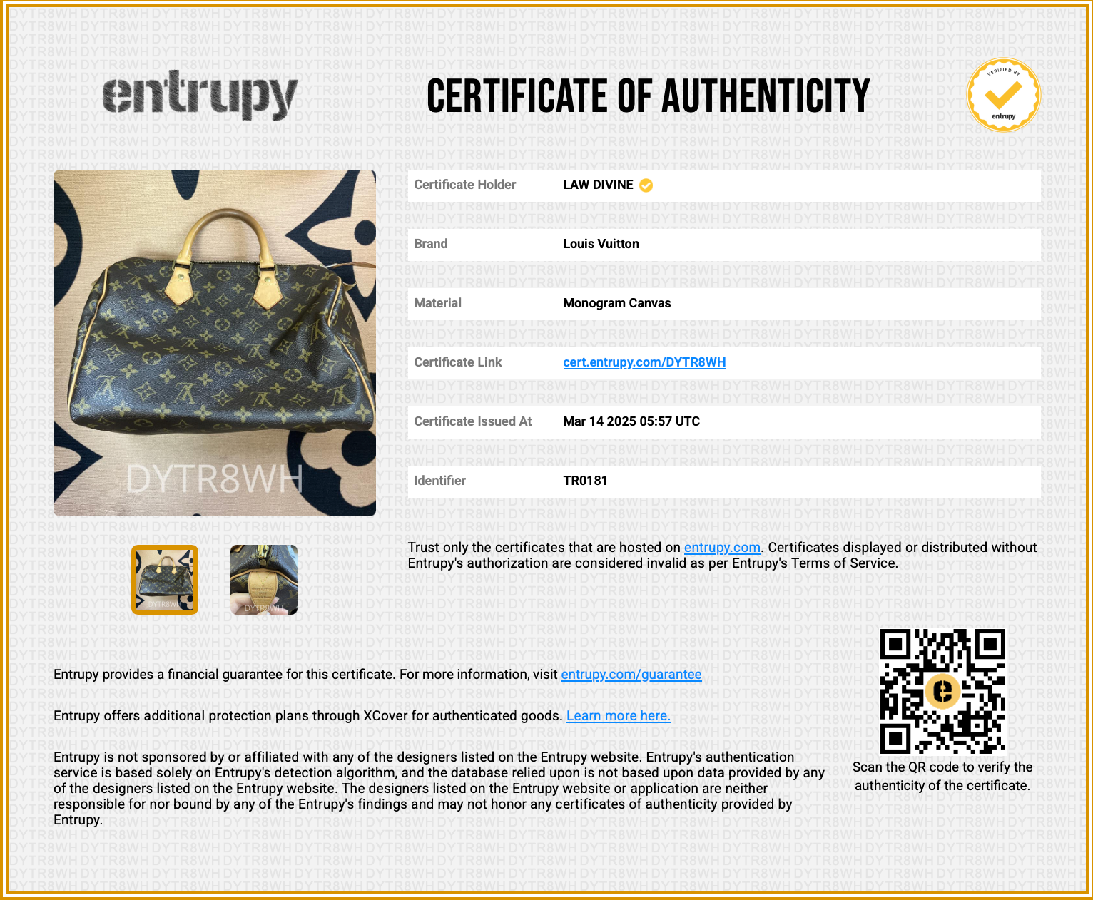 Speedy Handbag Monogram Canvas 30
