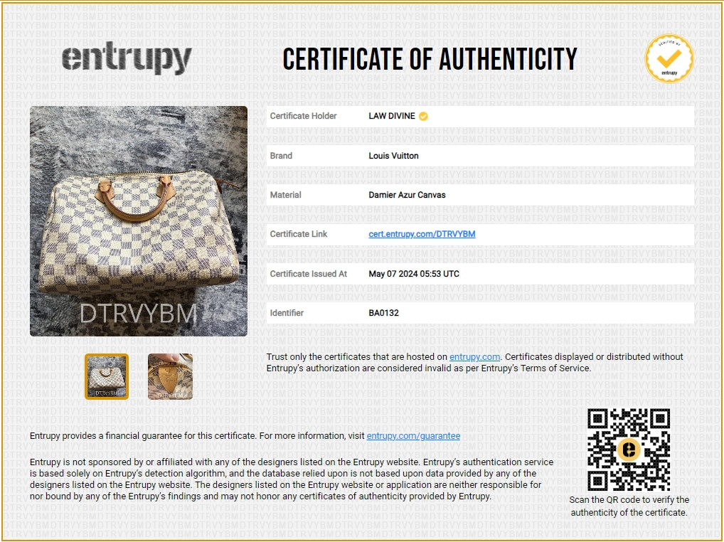 Louis Vuitton Speedy Handbag Damier 30