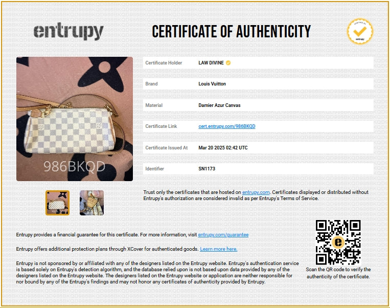 Louis Vuitton Eva Crossbody Damier