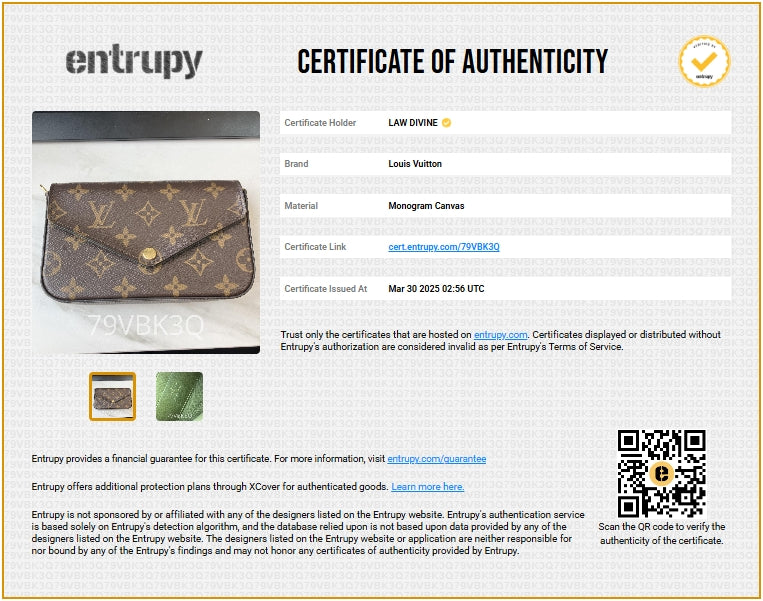 Louis Vuitton Felicie Strap & Go Handbag Monogram Canvas
