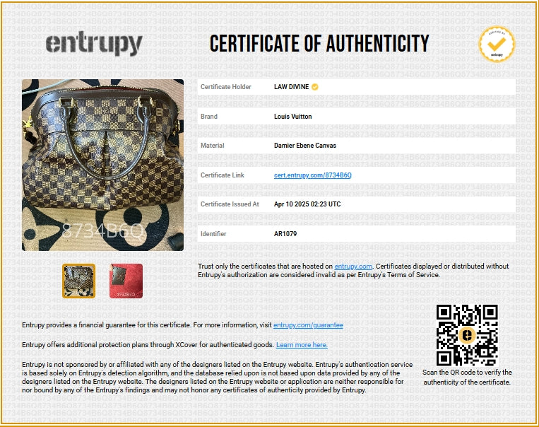 Trevi Handbag Damier GM
