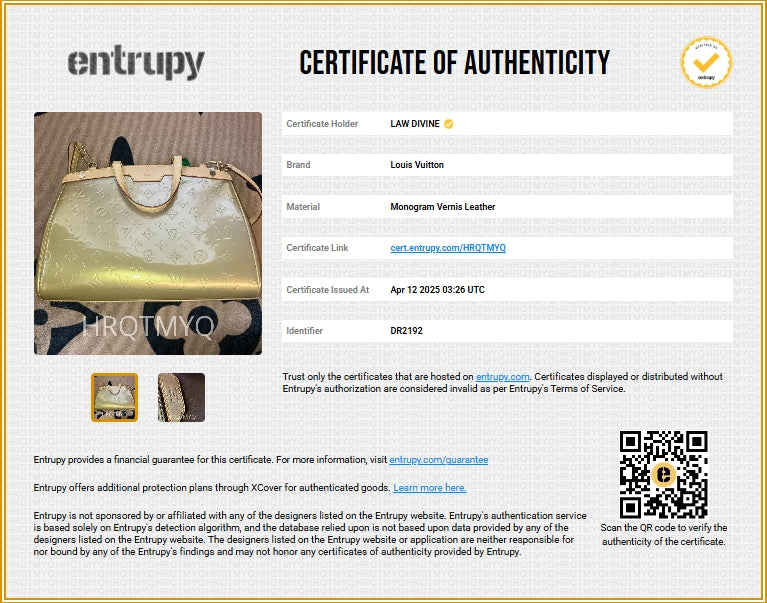 Brea Handbag Monogram Vernis MM