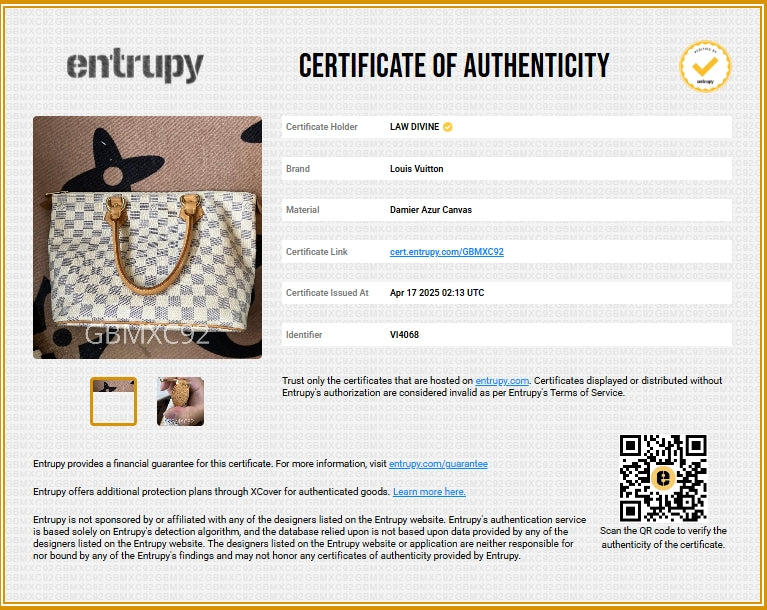 Saleya Handbag Damier PM