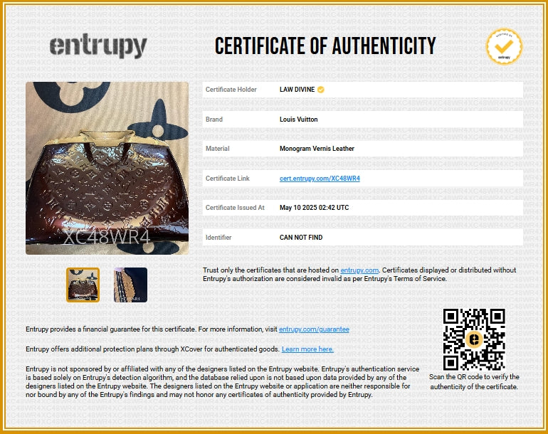 Brea Handbag Monogram Vernis GM