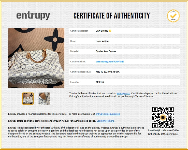 Speedy Handbag Damier Azur 30 Twins