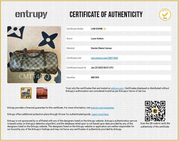 Papillon Handbag Damier 30