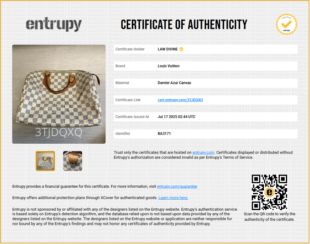 Speedy Handbag Damier 30 B8339