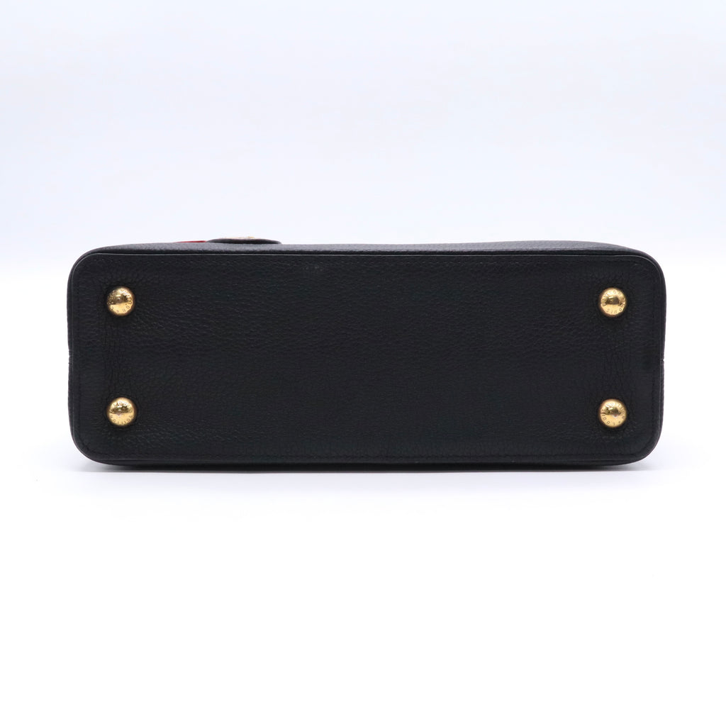 Limited Edition Capucines Bag Leather PM Twins LDJ3493