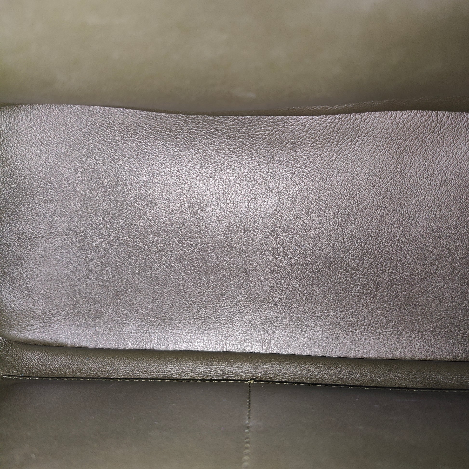 Be Dior Bag Pebbled Leather