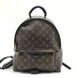 Louis Vuitton Monogram Palm Springs PM