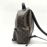 Louis Vuitton Monogram Palm Springs PM