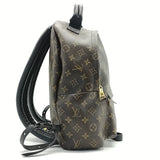 Louis Vuitton Monogram Palm Springs PM