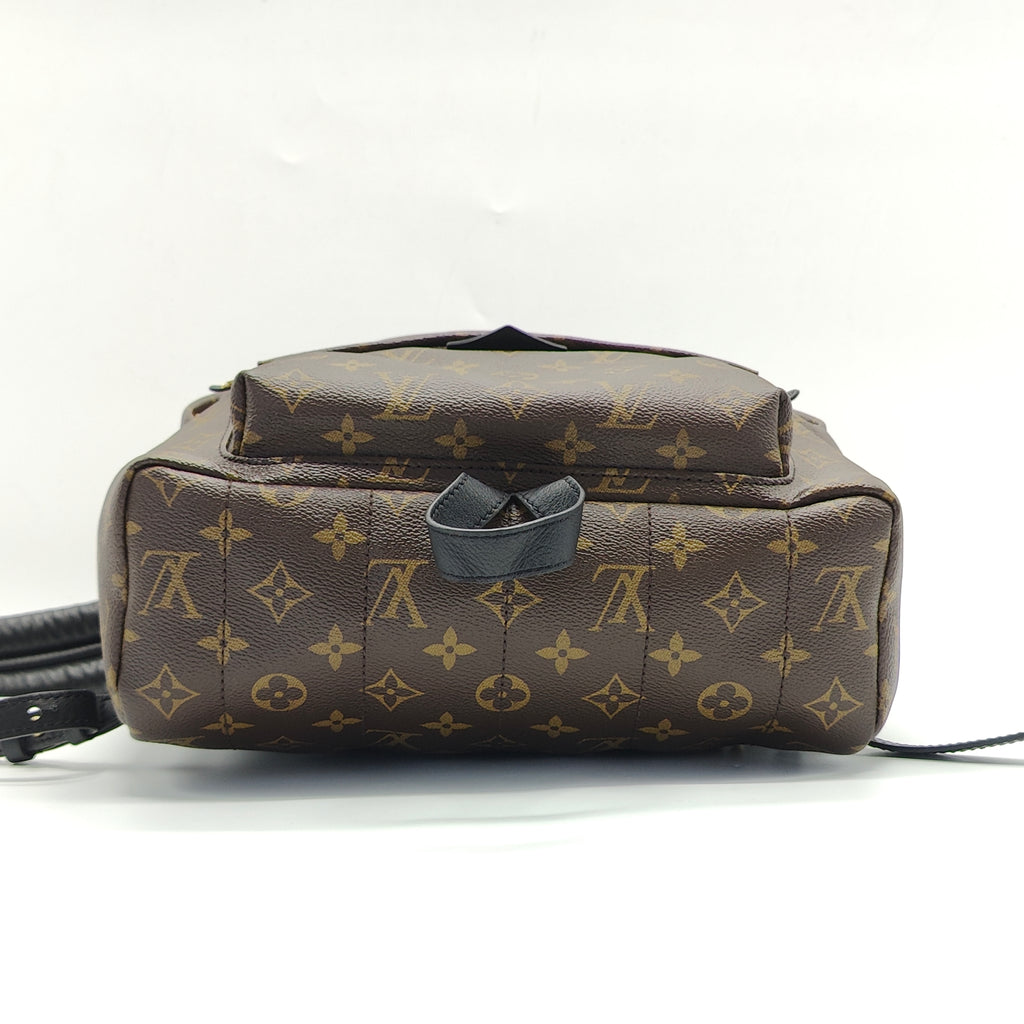 Louis Vuitton Monogram Palm Springs PM