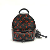 Palm Springs Backpack Limited Edition Monogram Infrarouge Mini