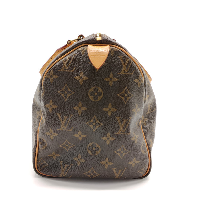 Speedy Handbag Monogram Canvas 30