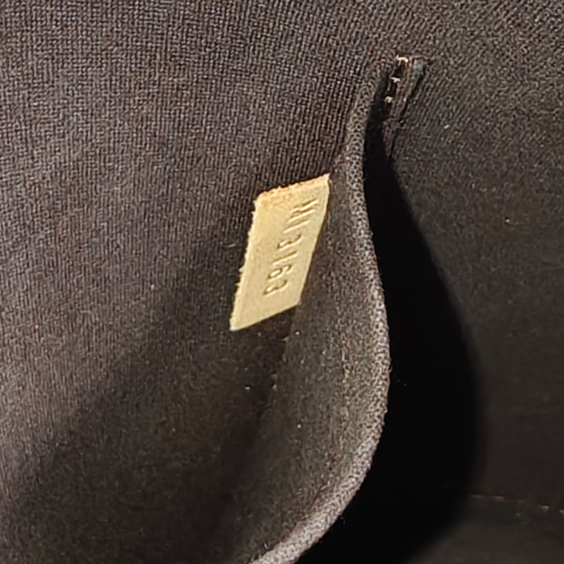 Alma Handbag Monogram Vernis