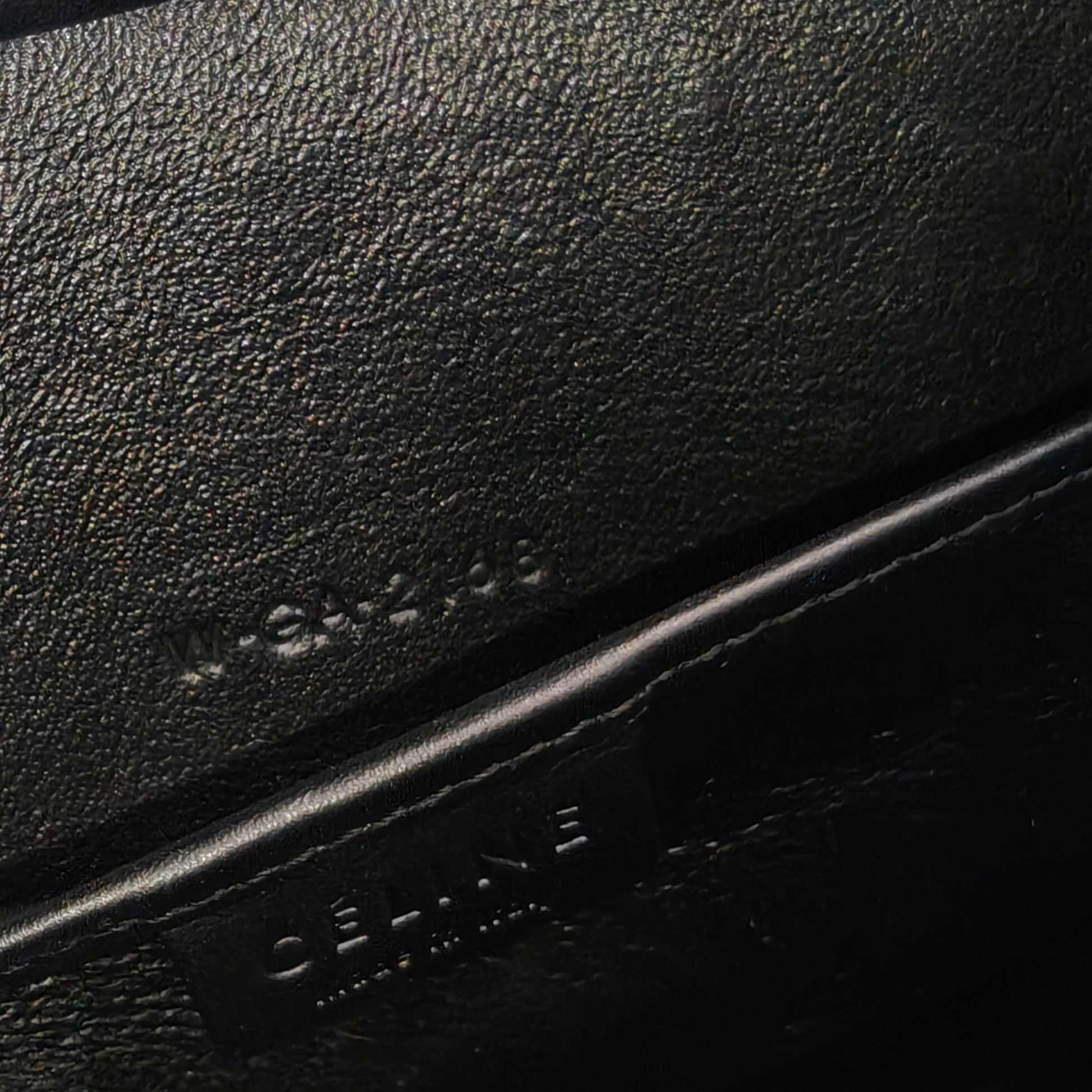 Tricolor Luggage Bag Leather Nano