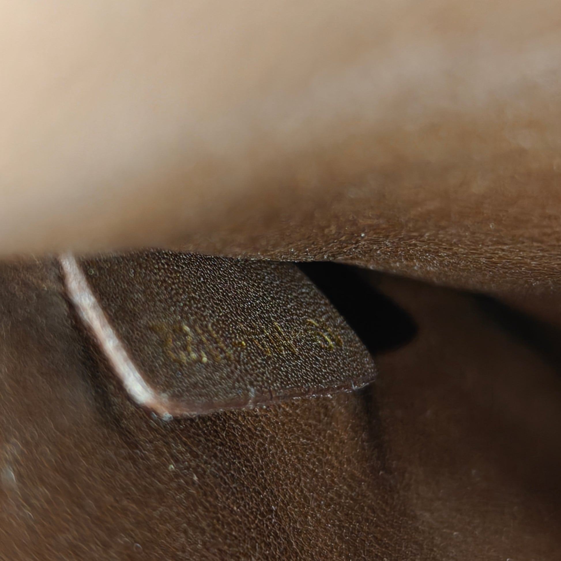 Diorissimo Tote Pebbled Leather Large