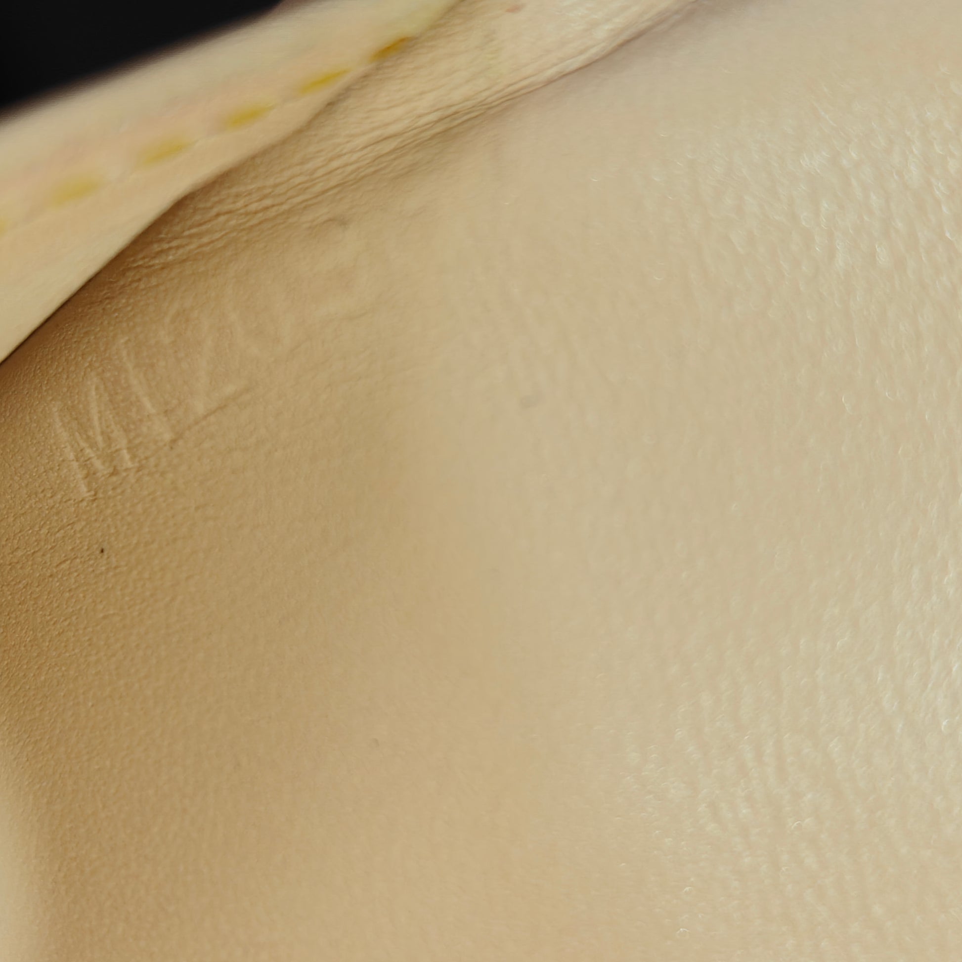 Eugenie Wallet Monogram Multicolor