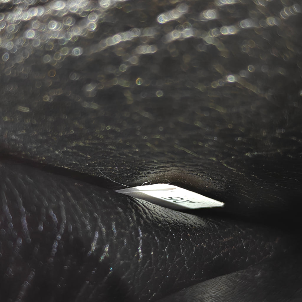 Cahier Crossbody Bag Embellished Leather Small