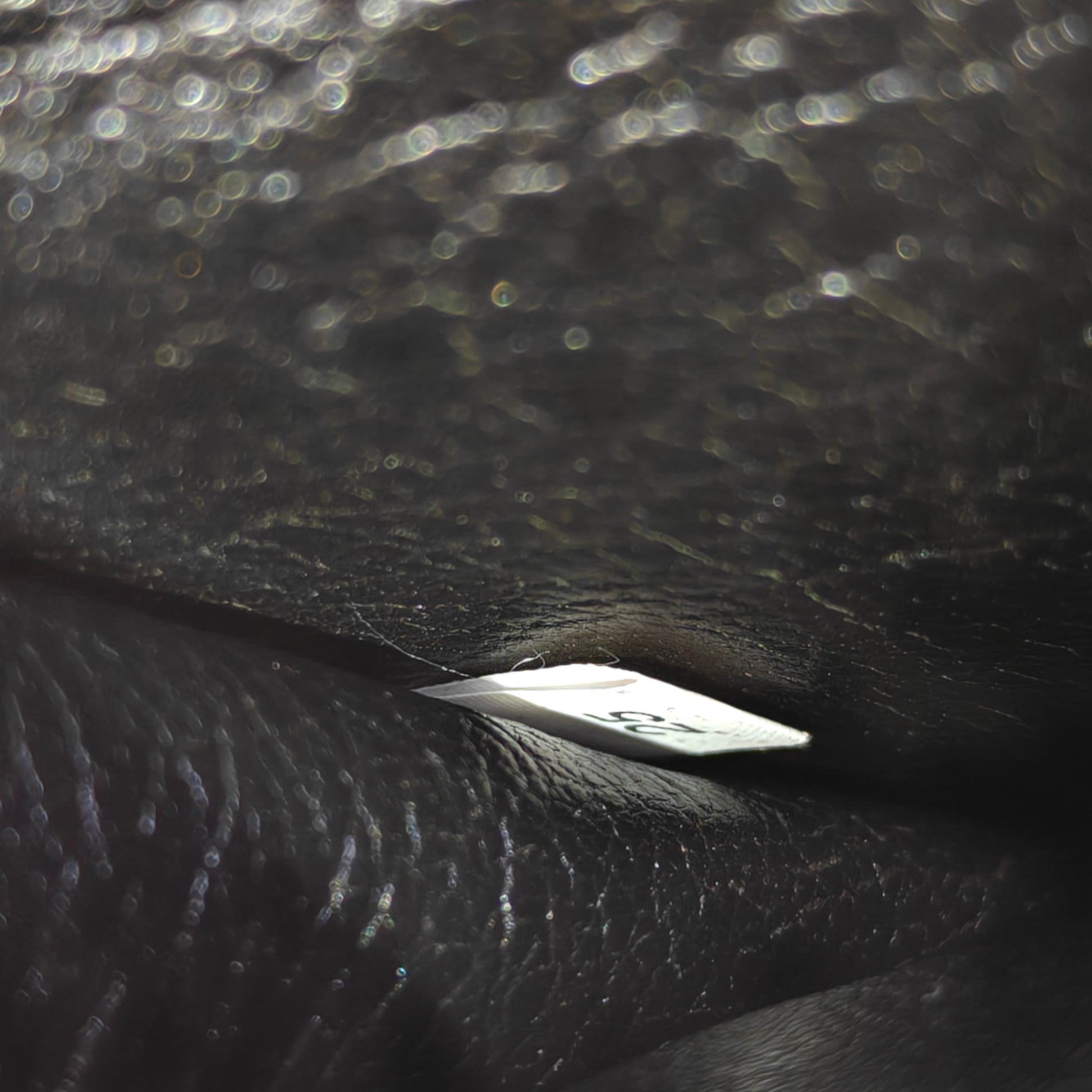 Cahier Crossbody Bag Embellished Leather Small