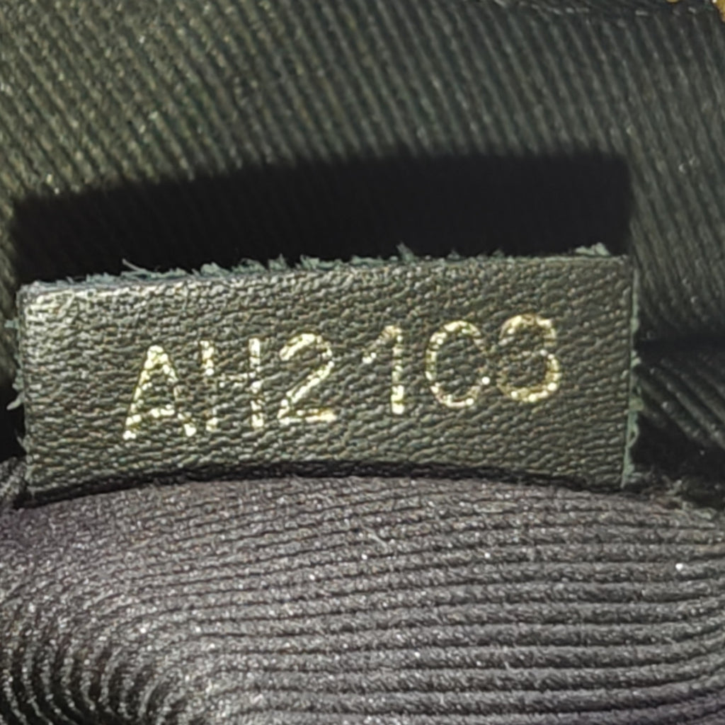 Saintonge Handbag Monogram Canvas with Leather