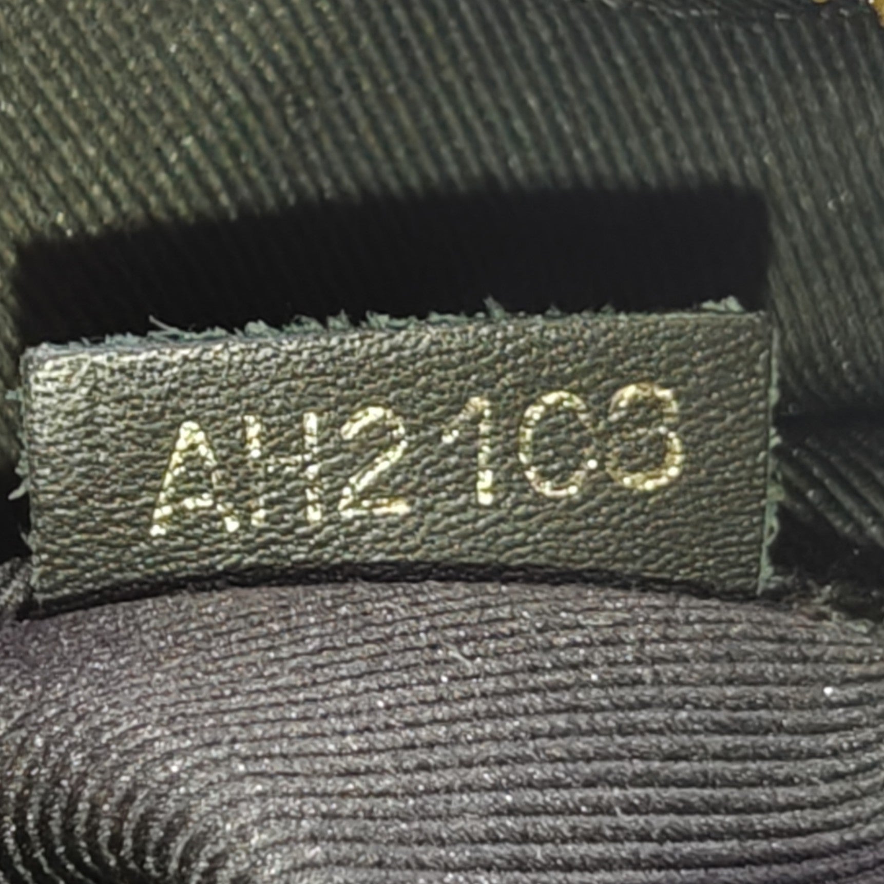 Saintonge Handbag Monogram Canvas with Leather