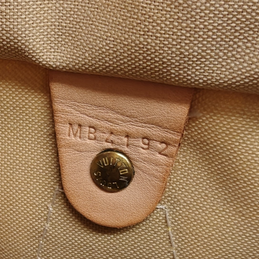 Louis Vuitton Speedy 20 Handbag twins