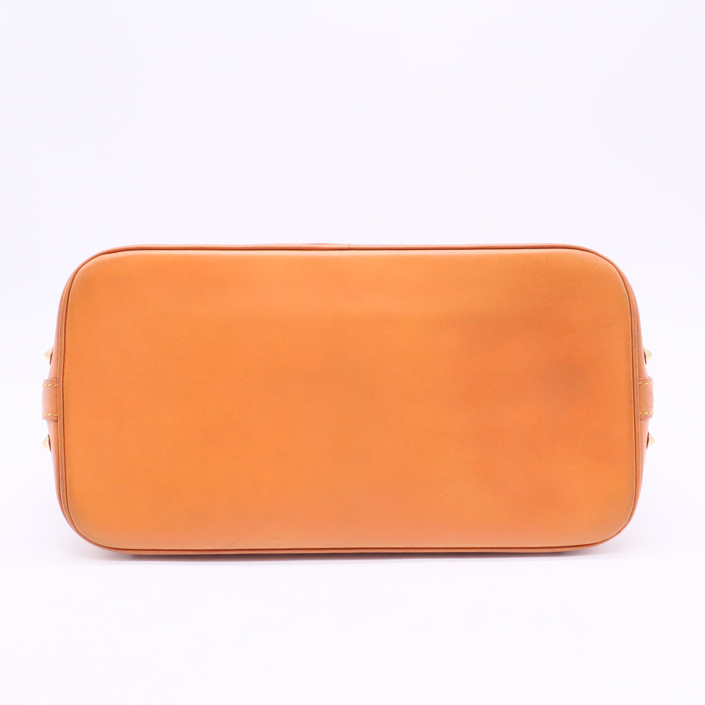 Multicolore Monogram Alma PM