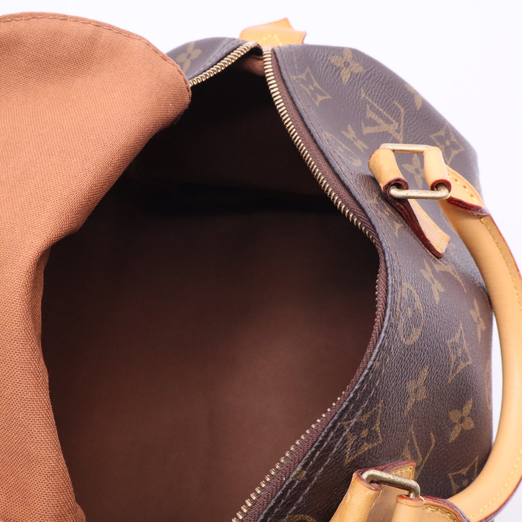 Speedy Handbag Monogram Canvas 30