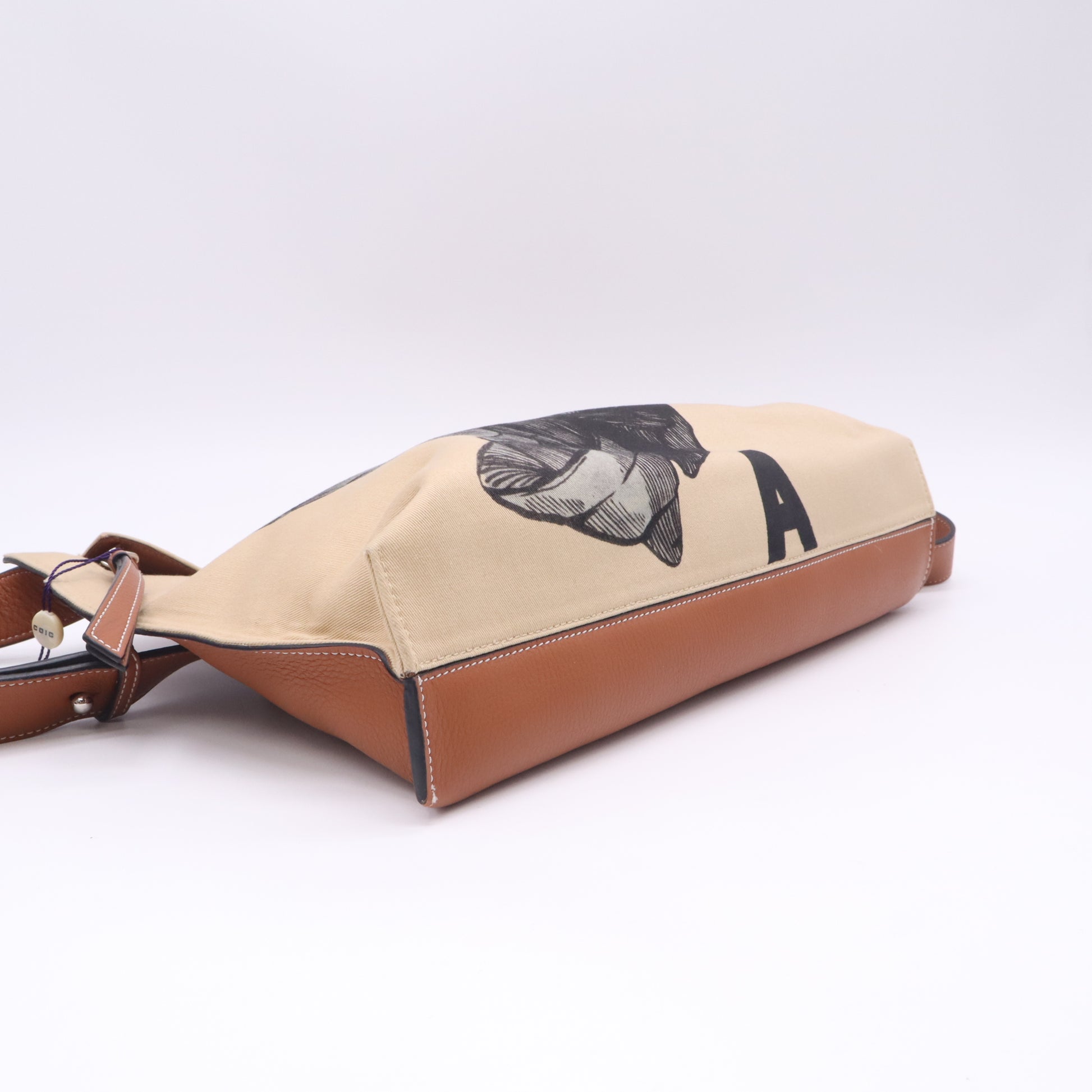 Loewe Canvas Fossil Twins LDJ5012