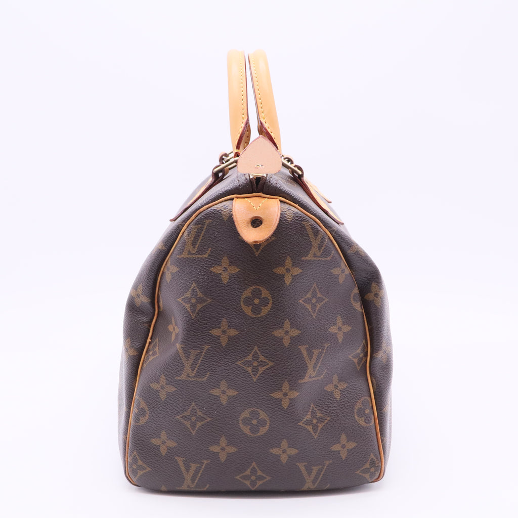Speedy Handbag Monogram Canvas 30