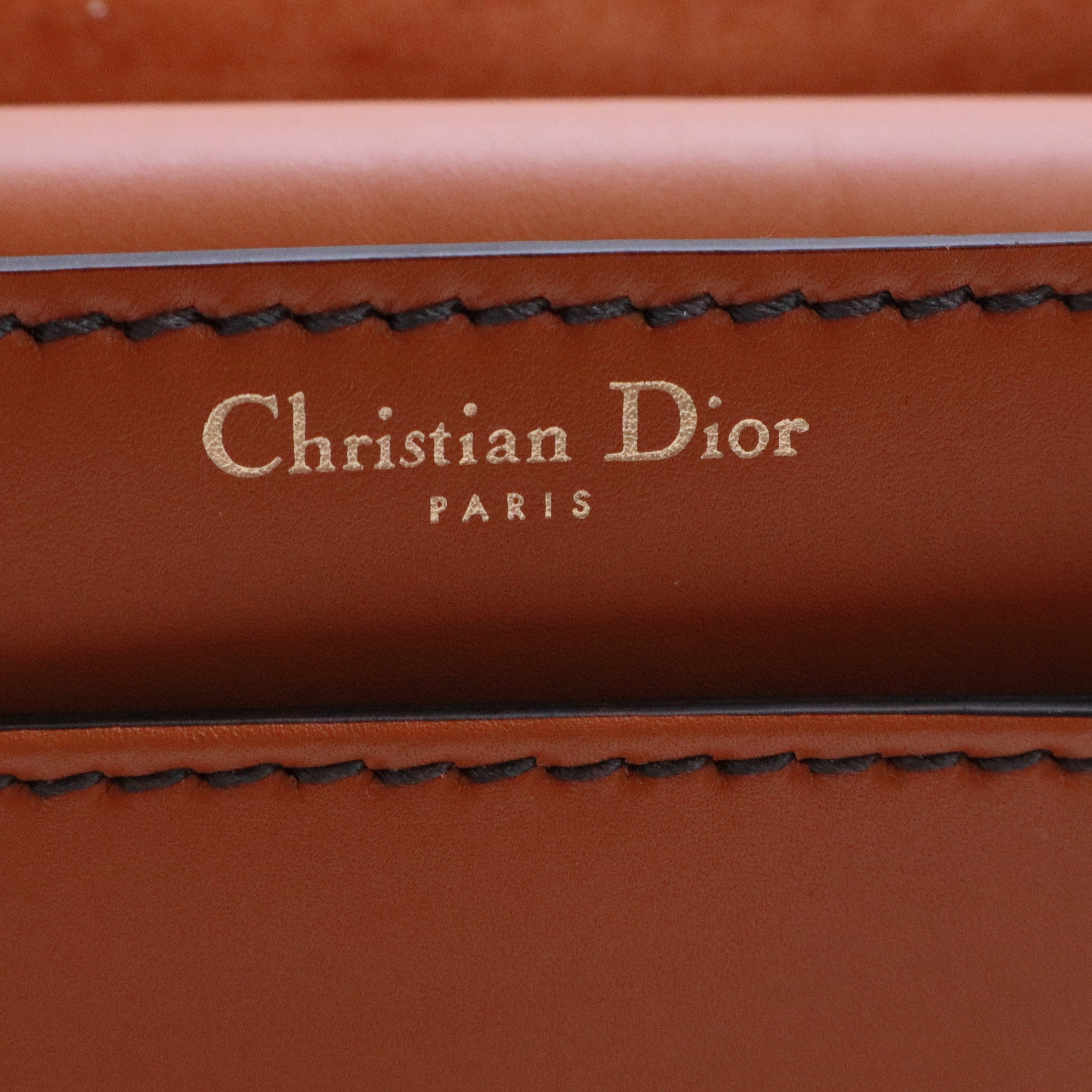 Dio(r)evolution Flap Bag Leather Medium