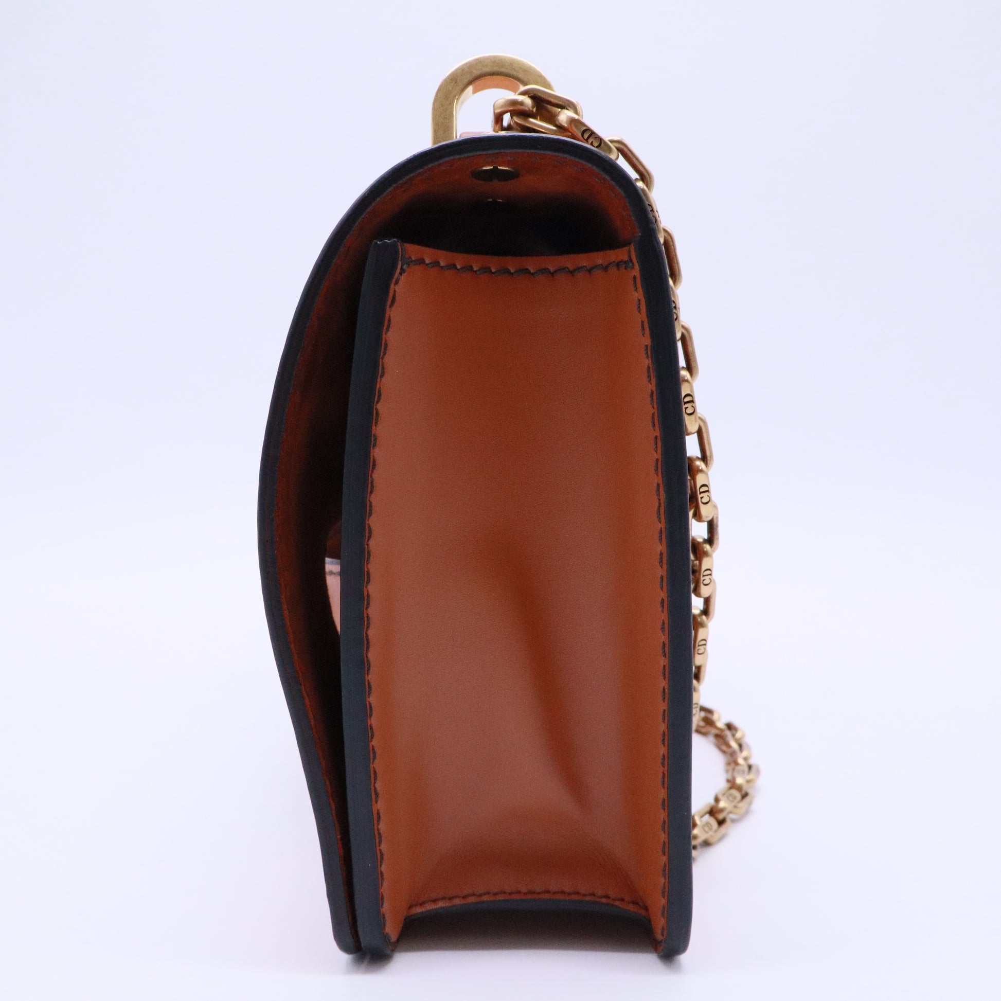 Dio(r)evolution Flap Bag Leather Medium