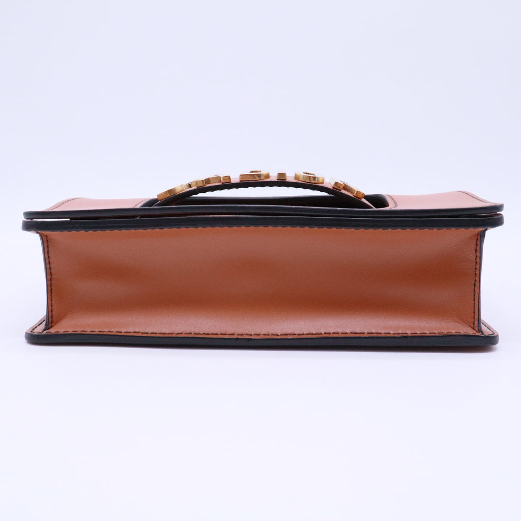 Dio(r)evolution Flap Bag Leather Medium