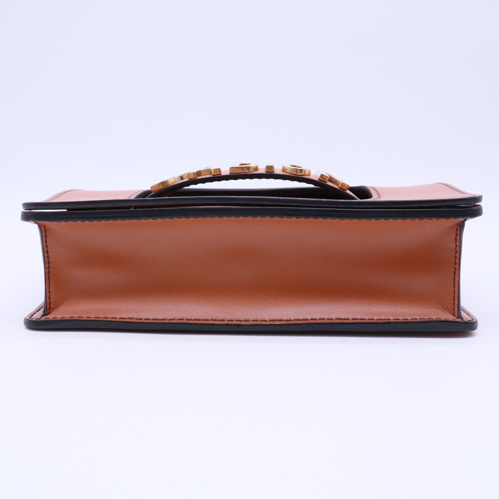 Dio(r)evolution Flap Bag Leather Medium