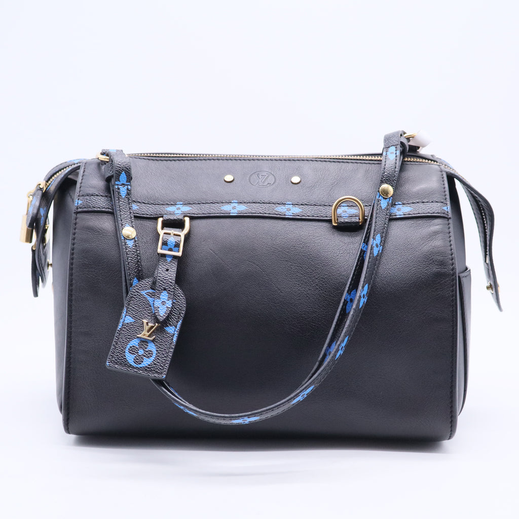 Louis Vuitton Speedy Amazon Bag Leather with Monogram Canvas MM Twins B20171