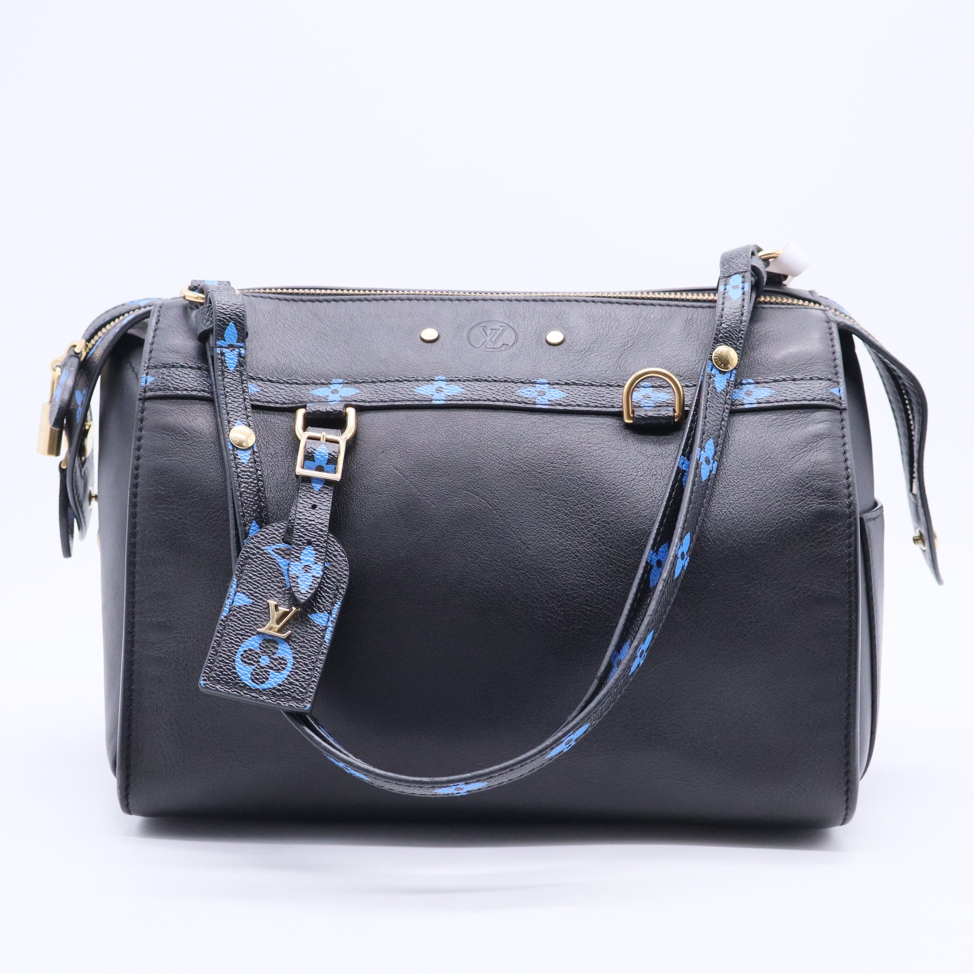 Louis Vuitton Speedy Amazon Bag Leather with Monogram Canvas MM Twins B20171