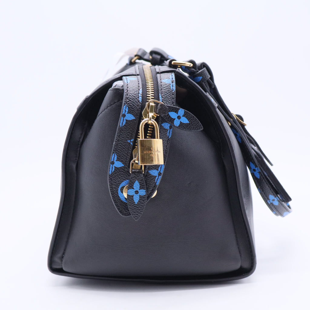 Louis Vuitton Speedy Amazon Bag Leather with Monogram Canvas MM Twins B20171