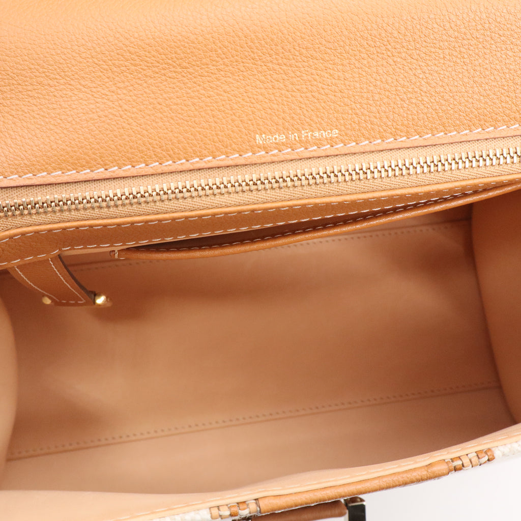 Delvaux Ivory/Vegetal Toile Sangle Brillant MM Bag twins