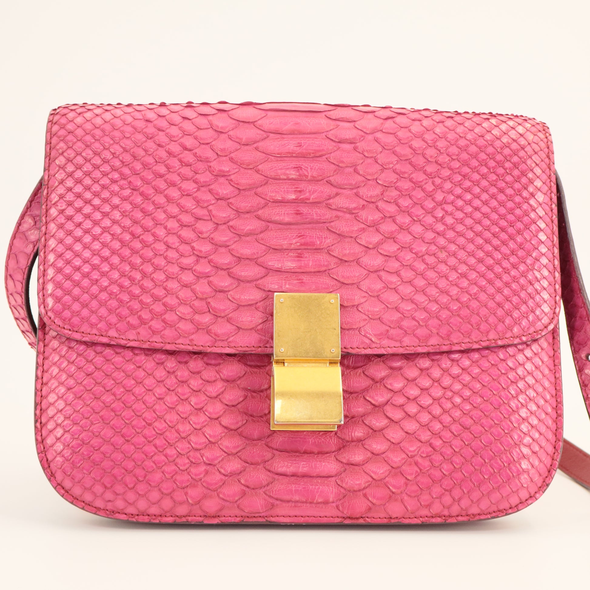 Celine Medium Python Classic Bag twins